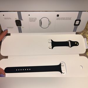 Apple Watch Graphite stainless steel pin